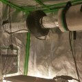 Why Carbon Filters are Essential for Grow Tents