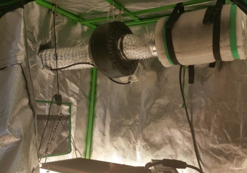 Why Carbon Filters are Essential for Grow Tents